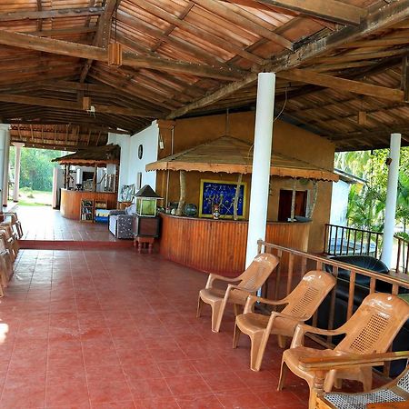 Darwins Beach Resort Тангалле Екстер'єр фото