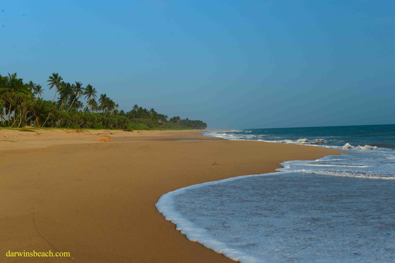 Darwins Beach Resort Тангалле Екстер'єр фото