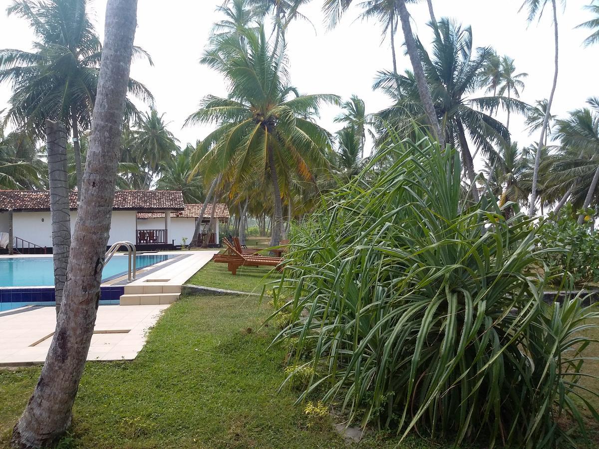 Darwins Beach Resort Тангалле Екстер'єр фото