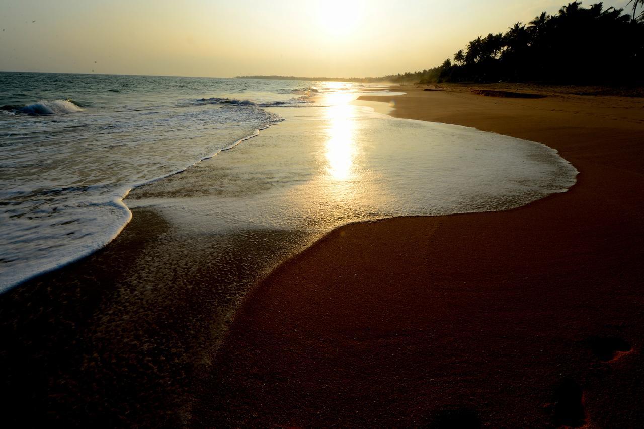 Darwins Beach Resort Тангалле Екстер'єр фото