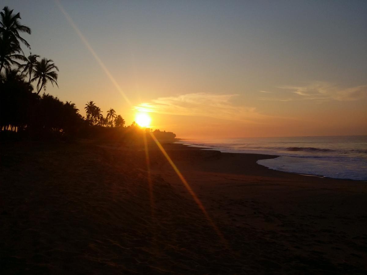 Darwins Beach Resort Тангалле Екстер'єр фото