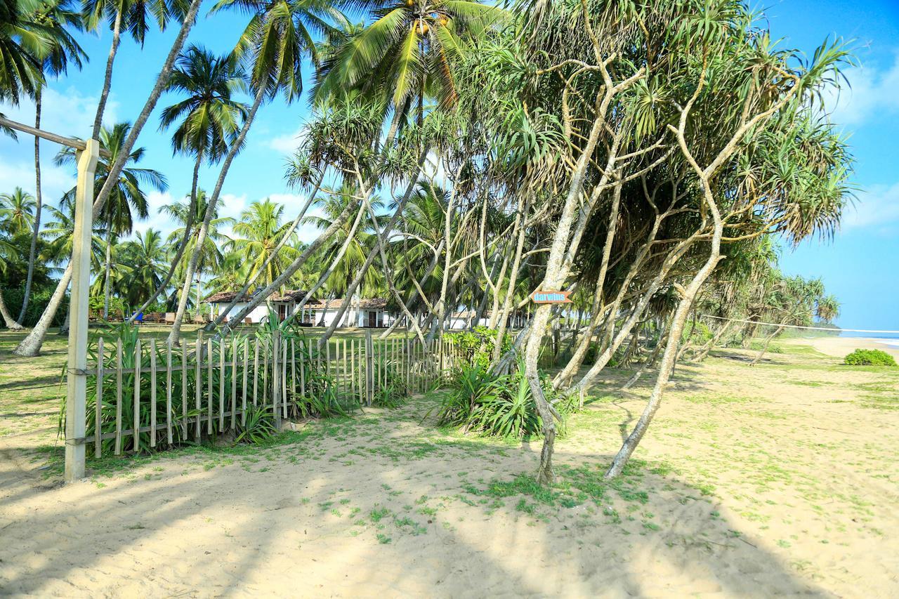 Darwins Beach Resort Тангалле Екстер'єр фото