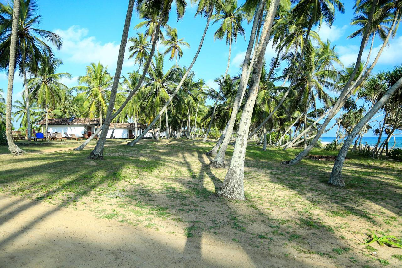 Darwins Beach Resort Тангалле Екстер'єр фото