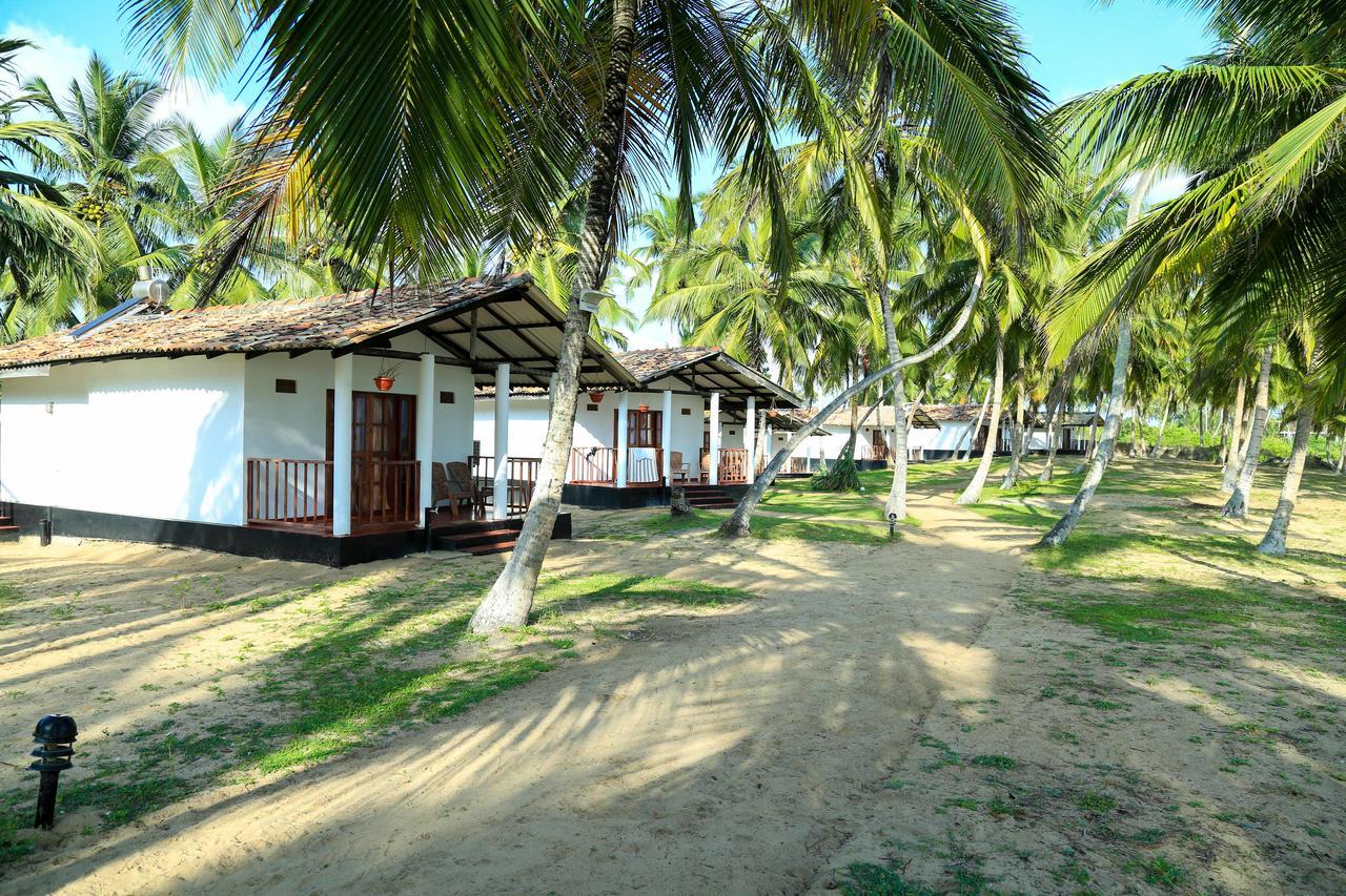 Darwins Beach Resort Тангалле Екстер'єр фото