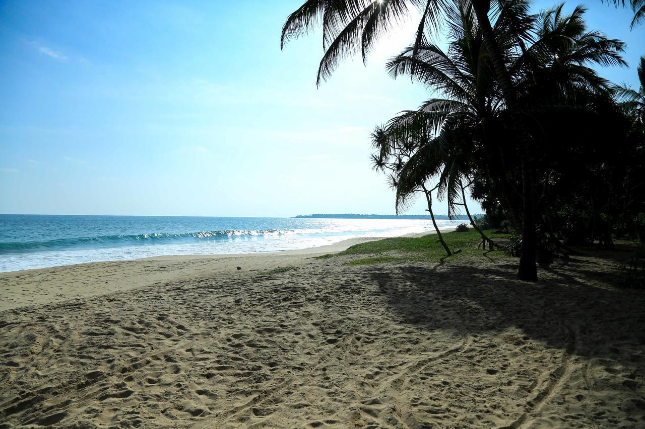 Darwins Beach Resort Тангалле Екстер'єр фото