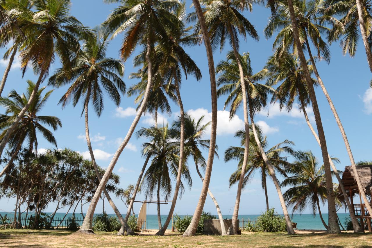 Darwins Beach Resort Тангалле Екстер'єр фото